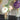Blomsterbuket 5 stilke 43 cm - Hvid mix