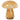 Mushy lampe H17cm - Brun