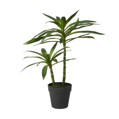 Plante - Grøn H53 cm