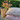 Blomster pyntepuder 50x50 cm - Flere farver