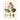 Plakat Flora Pink