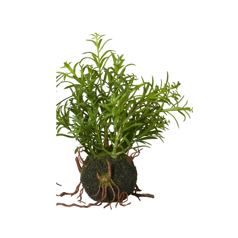 Græsplante med rod H20 cm - Plastik